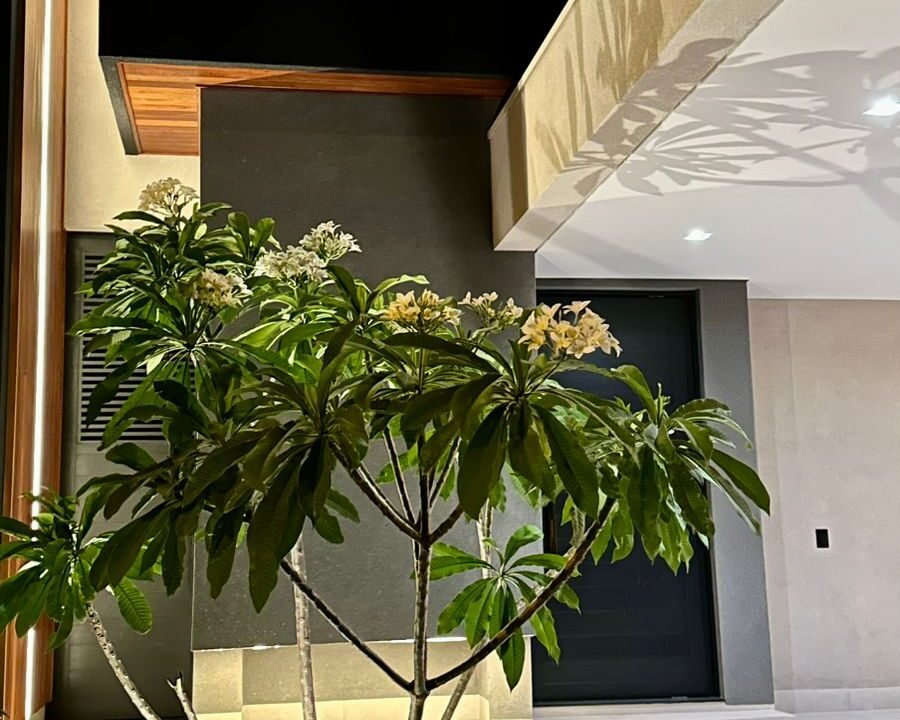 50e00bea-be3e-4920-812e-7df91c44ab23