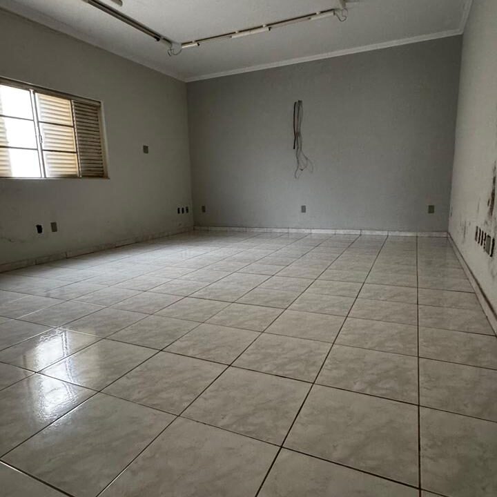 wa_25818345171170229